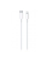 Apple USB-C to Lightning Cable (1 m) - nr 14