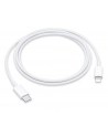 Apple USB-C to Lightning Cable (1 m) - nr 17