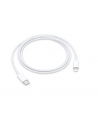 Apple USB-C to Lightning Cable (1 m) - nr 21