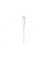 Apple USB-C to Lightning Cable (1 m) - nr 24
