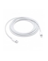 Apple USB-C to Lightning Cable (2 m) - nr 16