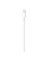 Apple USB-C to Lightning Cable (2 m) - nr 21