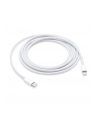 Apple USB-C to Lightning Cable (2 m) - nr 29