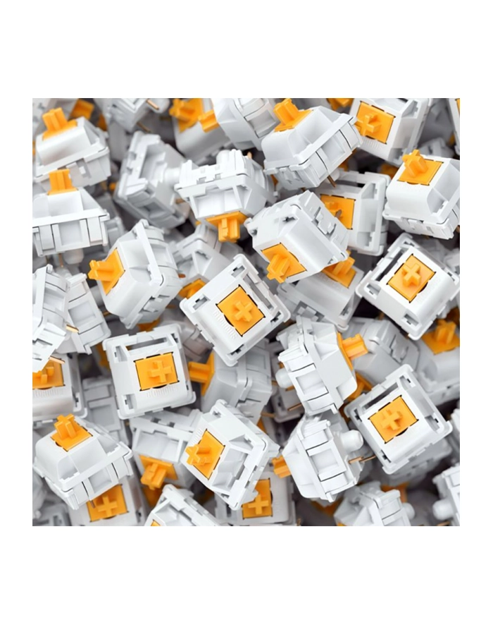 Glorious PC Gaming Race Panda Switches (36 pcs) główny