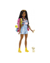 Barbie Kemping Brooklyn Lalka + akcesoria HDF74 p4 MATTEL - nr 2