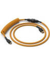 Glorious PC Gaming Race Coiled Cable Glorious Gold, USB-C to USB-A Spiralcable - 1,37m, gold - nr 1