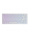 Glorious PC Gaming Race GMMK Pro White Ice 75% TKL Tastatur - Barebone, ANSI-Layout, srebrny - nr 3