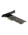 DeLOCK PCIe x4 K 1x in NVM M.2 Key M - with heat sink + RGB LED - nr 10