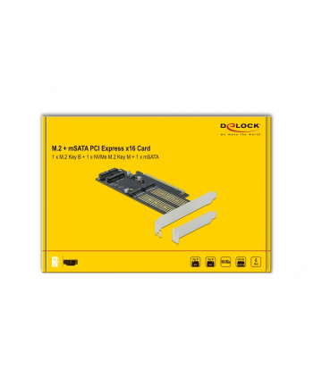 DeLOCK PCIe x16 card> 2x M.2KeyB + 1xmSATA