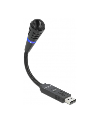 DeLOCK DeLOCK USB gooseneck microphone - 66499