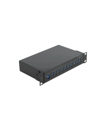 DeLOCK 10  industrial hub 10 x USB 3.2 -A - 64112 nr 2