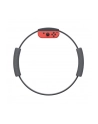 Nintendo Ring Fit Adventure 00 - nr 27