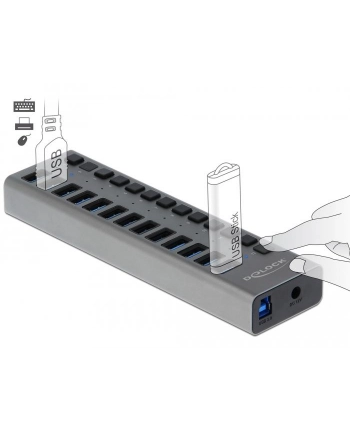 Delock External SS USB Hub 13Ports + Switch - 63738 nr 2