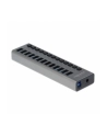 Delock External SS USB Hub 13Ports + Switch - 63738 - nr 7