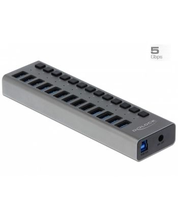 Delock External SS USB Hub 13Ports + Switch - 63738 nr 1