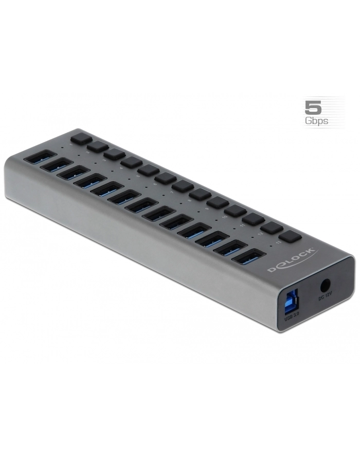 Delock External SS USB Hub 13Ports + Switch - 63738 główny