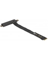 DeLOCK M.2 Key M> PCIe x16 NVMe - + 20cm cable - nr 4