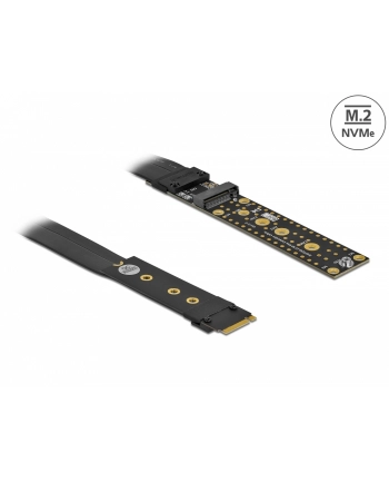 DeLOCK riser card M.2 Key M extension - with 20 cm cable nr 1