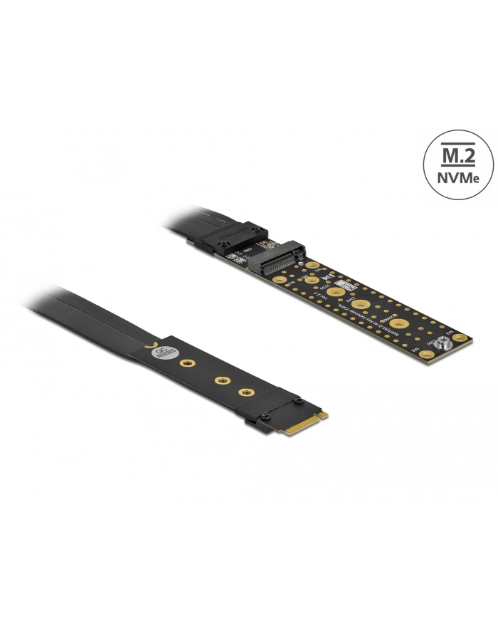 DeLOCK riser card M.2 Key M extension - with 20 cm cable główny