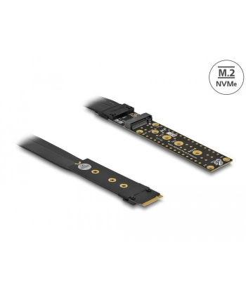 DeLOCK riser card M.2 Key M extension - with 20 cm cable nr 2