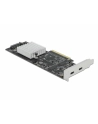 DeLOCK PCIe x8> 2xext. USB 20 Gbps USB-C - 89009 - nr 2