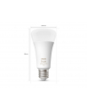 Philips Hue E27 single pack 1100lm 100W - White ' Col. Amb. - nr 13