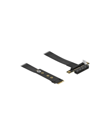 DeLOCK M.2 Key M> PCIe x4 NVMe adapter - + 20cm cable