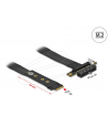 DeLOCK M.2 Key M> PCIe x4 NVMe adapter - + 20cm cable - nr 6