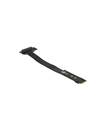 DeLOCK M.2 Key M> U.2 SFF-8639 NVMe w. - + 20cm cable