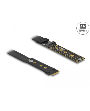 DeLOCK riser card M.2 Key M extension - with 20 cm cable