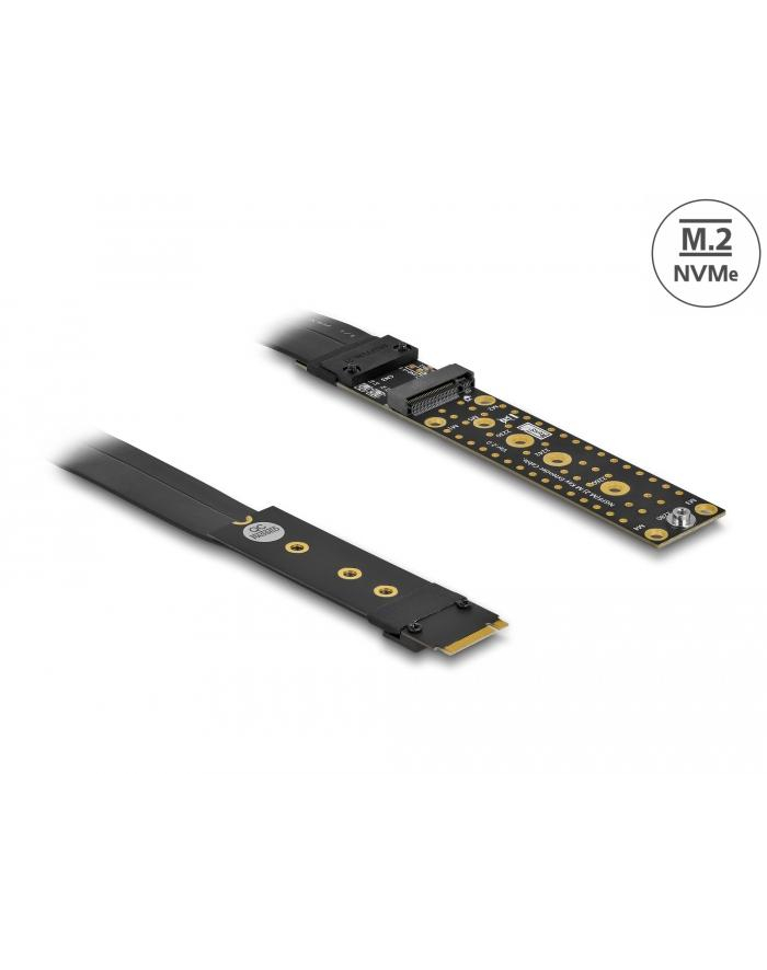 DeLOCK riser card M.2 Key M extension - with 20 cm cable główny