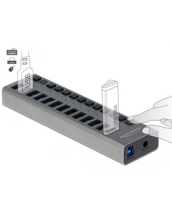 Delock External SS USB Hub 13Ports + Switch - 63738