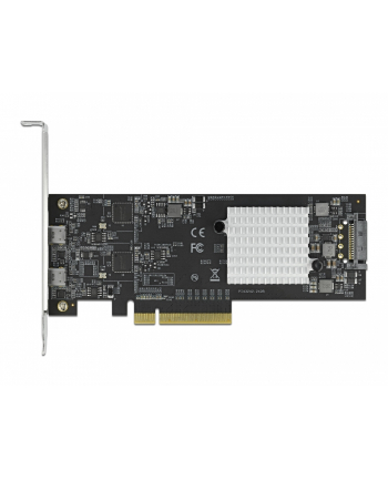 DeLOCK PCIe x8> 2xext. USB 20 Gbps USB-C - 89009