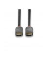 Lindy DisplayPort 1.2 cable Anthra Lindye 10m - 36486 - nr 24