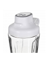 Bosch blender MMB2111T silver / Kolor: BIAŁY - VitaPower series - nr 13