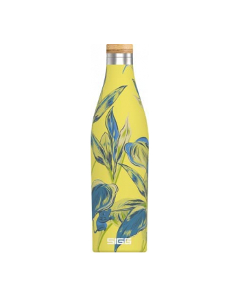 SIGG Meridian Sumatra Maki 0.5l Kolor: CZARNY - 8971.30