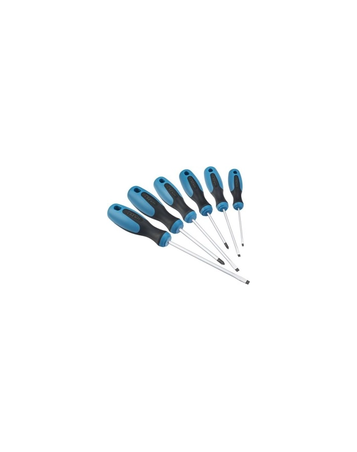 Hazet screwdriver set 810 SPC / 6 6 pcs główny