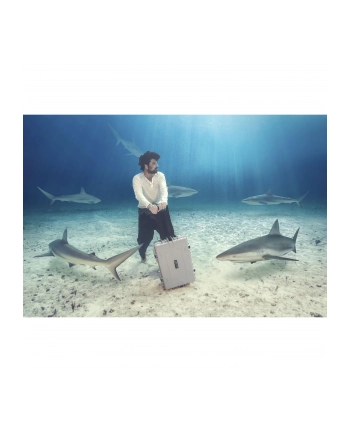 B'W International outdoor.case type 6600 empty bk - 6600 / B