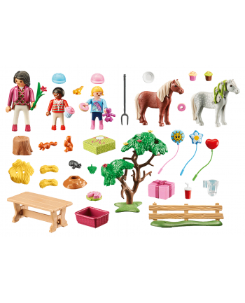 Playmobil children's birthday party at the pony farm - 70997