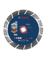 bosch powertools Bosch MultiMat DIA TS 150x22.23x2.4x12mm - 2608900661 EXPERT RANGE - nr 19