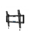 neomounts by newstar Uchwyt ścienny WL35-550BL14  32-65 cali - nr 1