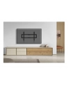 neomounts by newstar Uchwyt ścienny WL35-550BL16  40-75 cali - nr 50