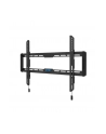 neomounts by newstar Uchwyt ścienny WL30-550BL16  40-75 cali - nr 8