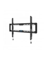 neomounts by newstar Uchwyt ścienny WL30-550BL16  40-75 cali - nr 90