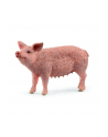 Schleich 13933 Świnia Farm World - nr 1