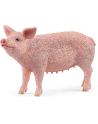 Schleich 13933 Świnia Farm World - nr 3