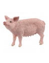 Schleich 13933 Świnia Farm World - nr 4