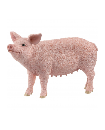 Schleich 13933 Świnia Farm World nr 1
