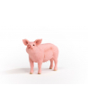 Schleich 13933 Świnia Farm World - nr 5