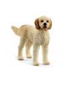 Schleich 13939 Pies rasy Goldendoodle. - nr 1